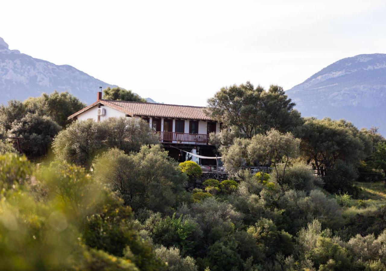 Villa Ecoparco Neule Dorgali Exterior foto